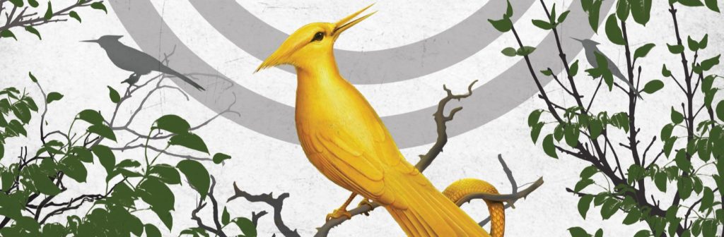 Crítica de Jogos Vorazes: A Cantiga do Pássaro e das Serpentes